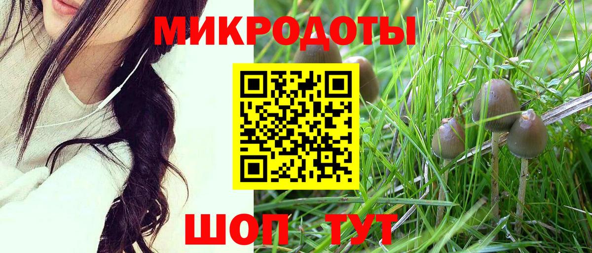 Галлюциногенные грибы Cubensis Пенза