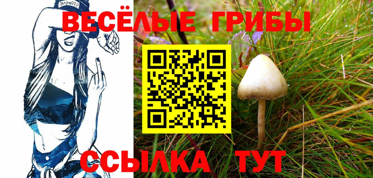 Галлюциногенные грибы прущие грибы  Вход с VPN  Псилоцибиновые грибы Cubensis  Пенза 
